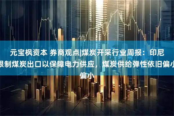 元宝枫资本 券商观点|煤炭开采行业周报：印尼限制煤炭出口以保障电力供应，煤炭供给弹性依旧偏小