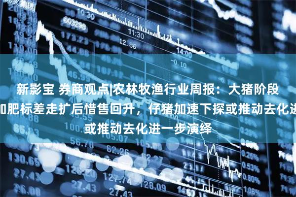 新影宝 券商观点|农林牧渔行业周报：大猪阶段性去库叠加肥标差走扩后惜售回升，仔猪加速下探或推动去化进一步演绎