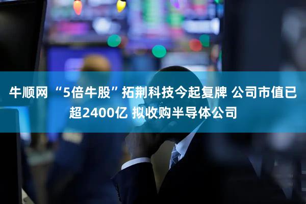 牛顺网 “5倍牛股”拓荆科技今起复牌 公司市值已超2400亿 拟收购半导体公司