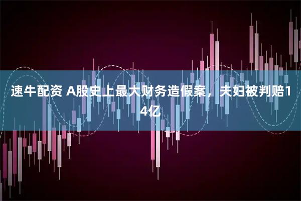 速牛配资 A股史上最大财务造假案，夫妇被判赔14亿